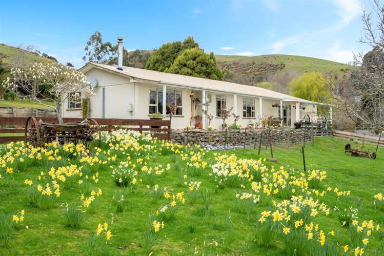 25 Ralston Street Allanton_21