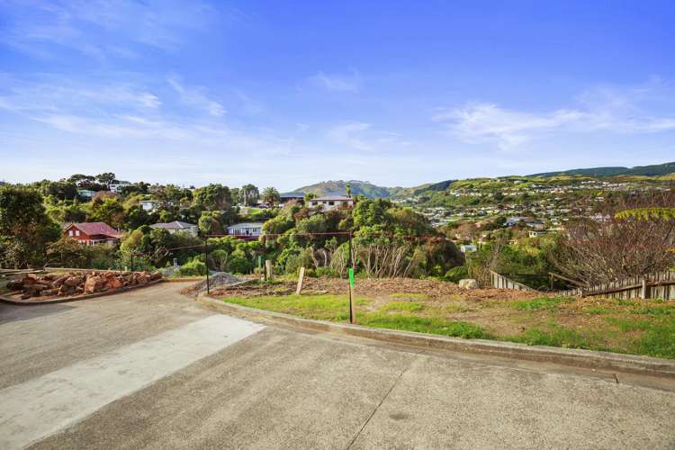 58D Lincoln Avenue Tawa_10