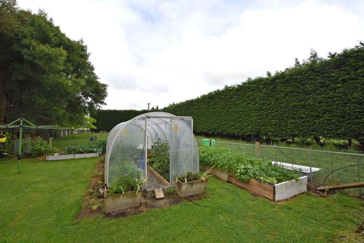 533 Flora East Makarewa_18