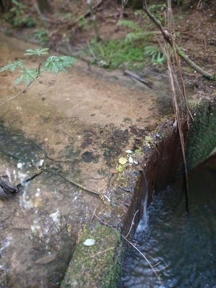 41 Pinehill Road Pakaraka_10