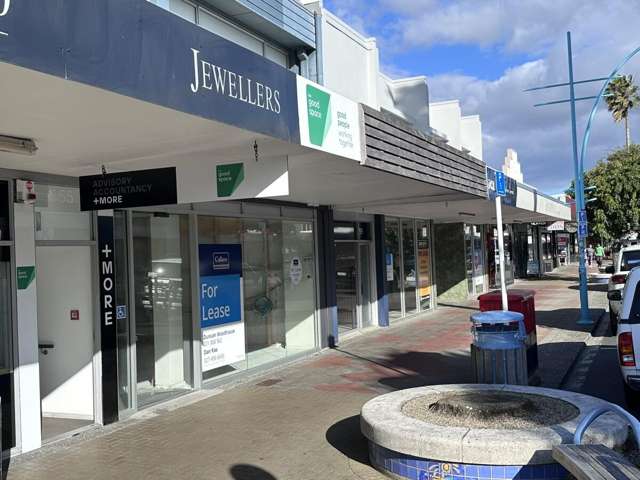 155 Maunganui Road Mount Maunganui_3