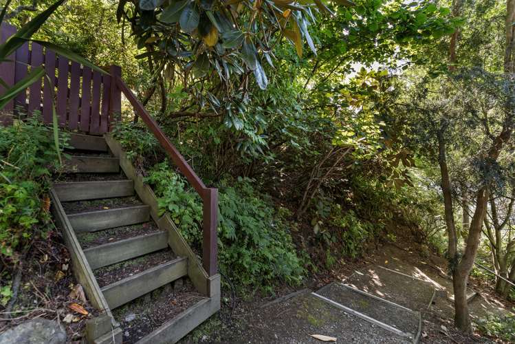 6b Gum Lane Queenstown_21