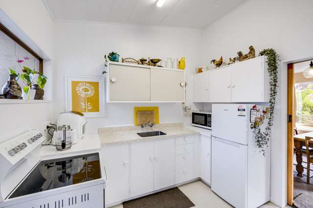 51 Freyberg Avenue Tamatea_4