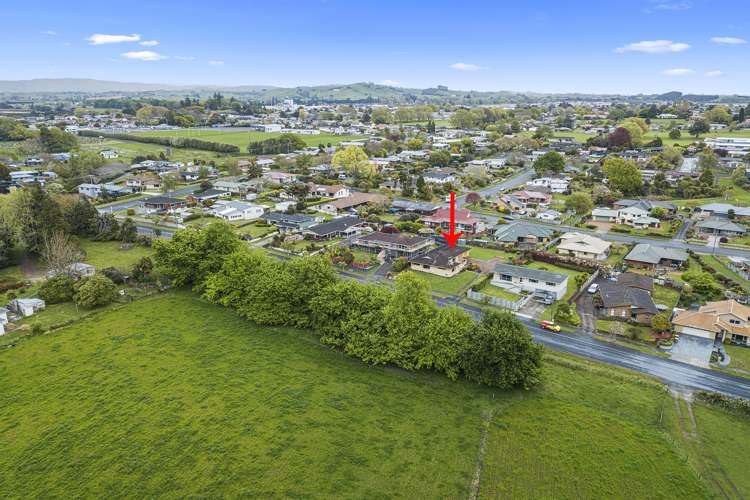 37 Seales Road Morrinsville_17