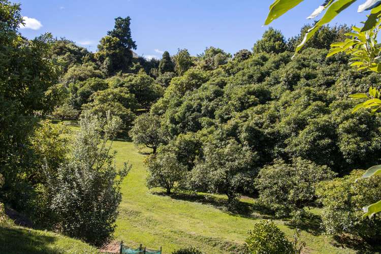 252A Kauri Point Road Katikati_25