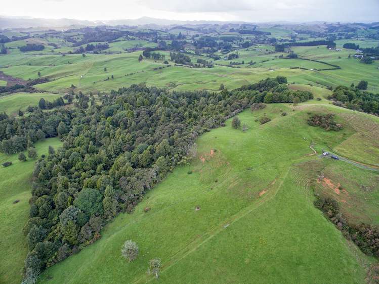 164 Steel Road Ararimu_9