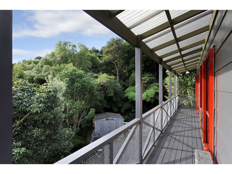 9 Nikau Street Duncan Bay_3