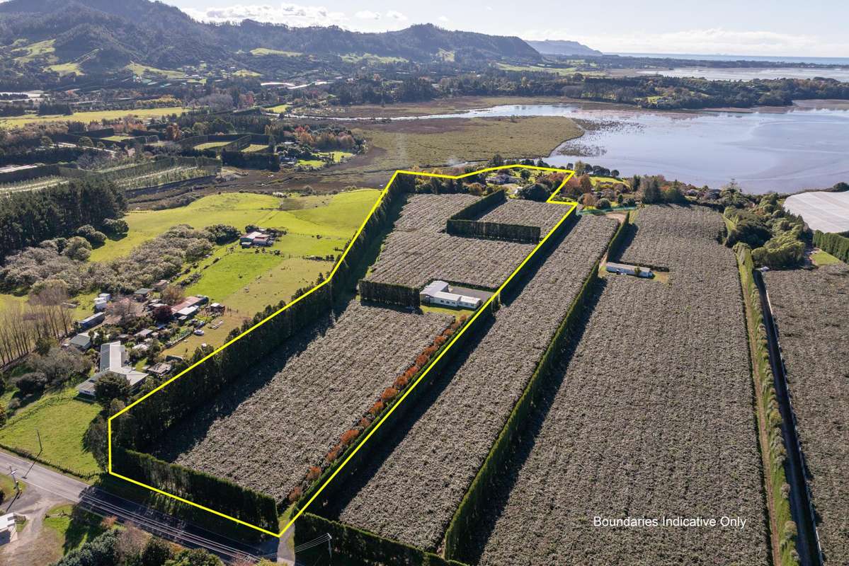 115 Tuapiro Road_2