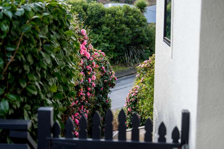 162 Somerville Street Waverley_36