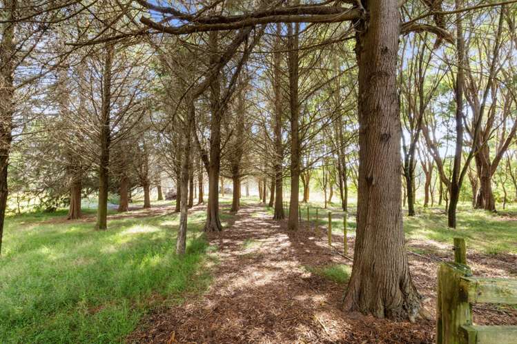 347a Black Swamp Road Mangawhai_21