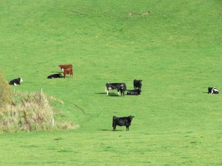 21 Howe Road Wyndham Surrounds_8