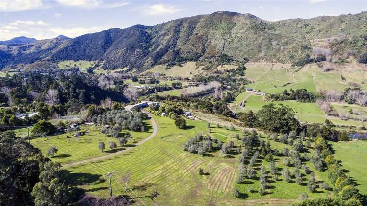 77 Packtrack Road Thames_25