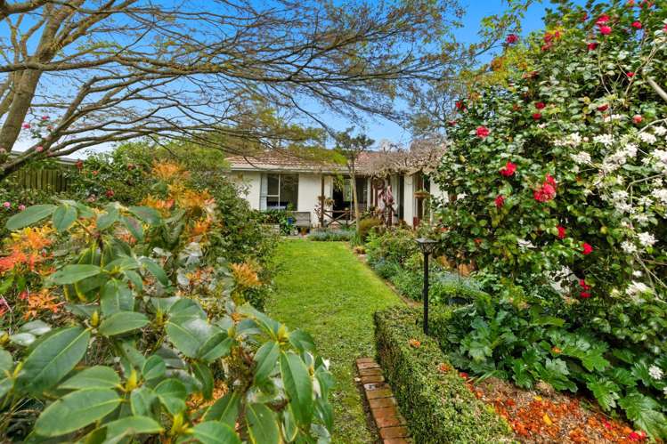 17 Marley View Street Somerfield_28