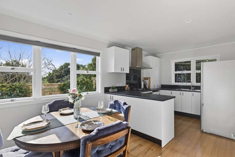 48 Essex Street Vogeltown_1