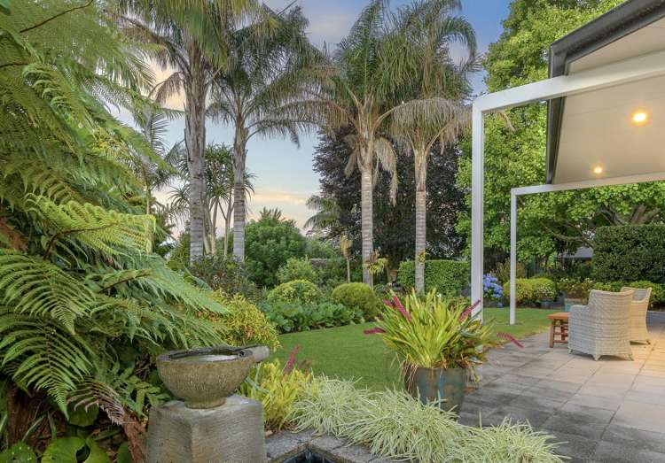 329J Plummers Point Road Whakamarama_24