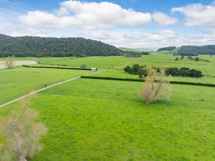 1266 Tauhei Road Morrinsville_11