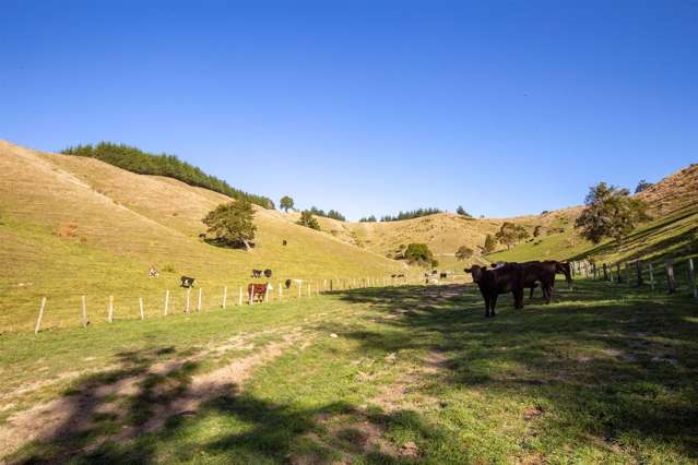 Win Valley Road Upper Moutere_1