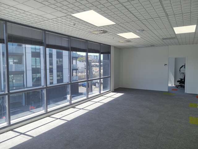 Tenancy 2/2D/2 Enfield Street Mt Eden_1