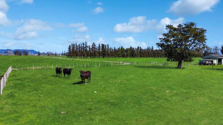 227 Thornton Road Thornton_7