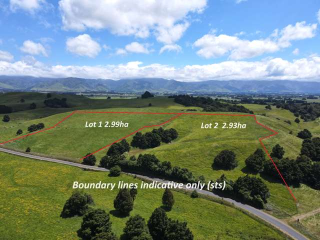 2/268 Graham Road Dannevirke_3