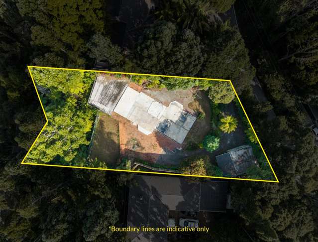 240 Konini Road Titirangi_4