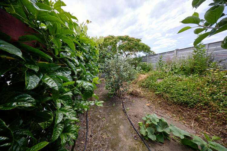 219 Beach Road Kaikoura_57