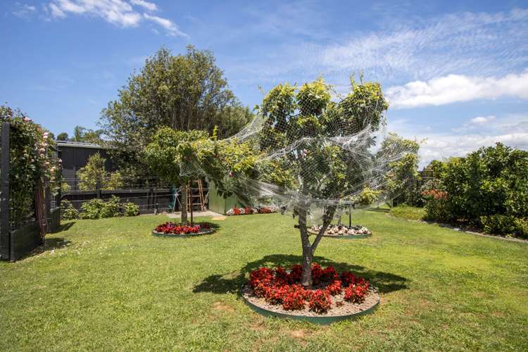 2 Bransley Grove Katikati_27