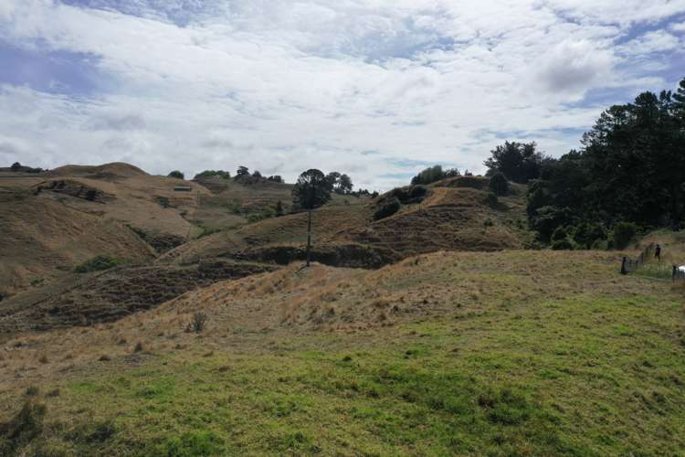 1017 Waingaro Road Glen Massey_13