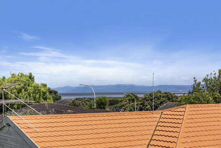 197 Finlayson Clendon Park_15