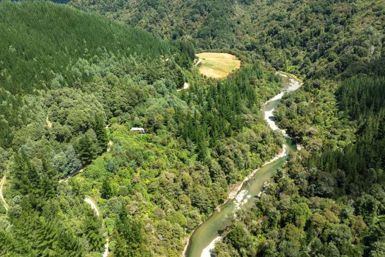 1160 Wakamarina Road Havelock_2