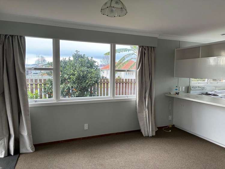 13 Rimu Street Gate Pa_5