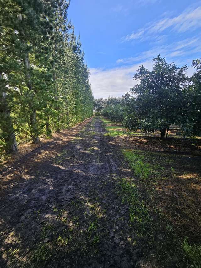 Heath Road Waiharara_4