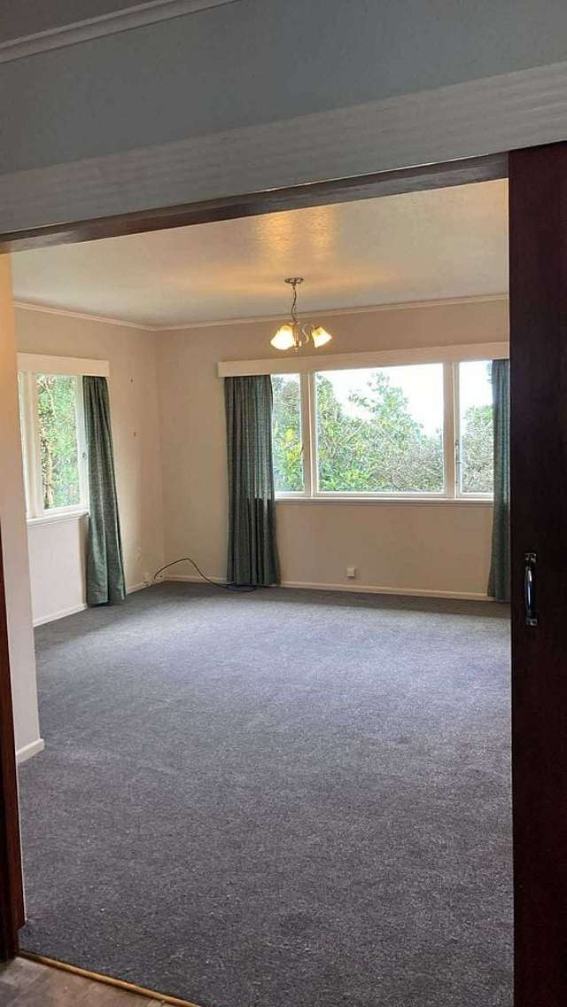 1 Mace Street Island Bay_3