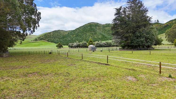 1 Waimangu Road Tumunui_21