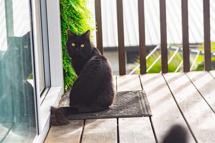 108 Isabella Drive Pukekohe_23