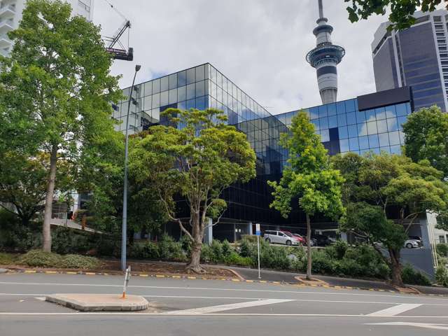 210 Federal Street Auckland Central_2