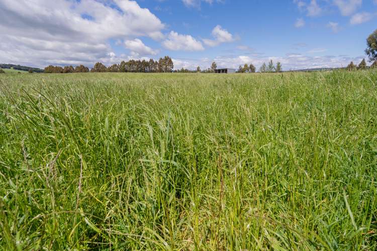 120 Wetlands Road Te Anau_19