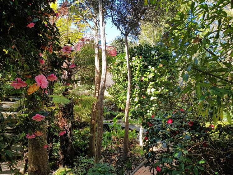 105 Marine Drive Diamond Harbour_12