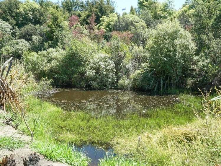 268 Seaton Valley Road Upper Moutere_15