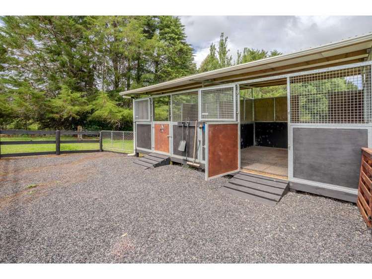 397D Pungaere Road Kerikeri_21