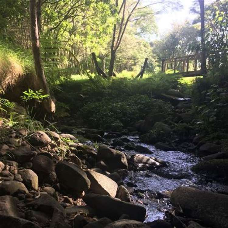 473 Kauaeranga Valley Road Thames_43