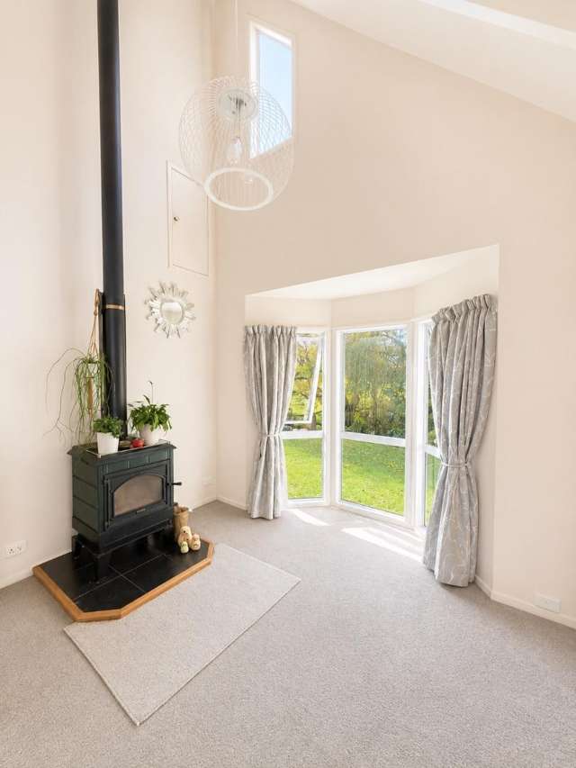 348A Horseshoe Bush Road Dairy Flat_4