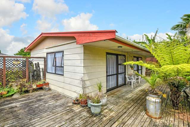 25 Fitzroy Street Papatoetoe_2