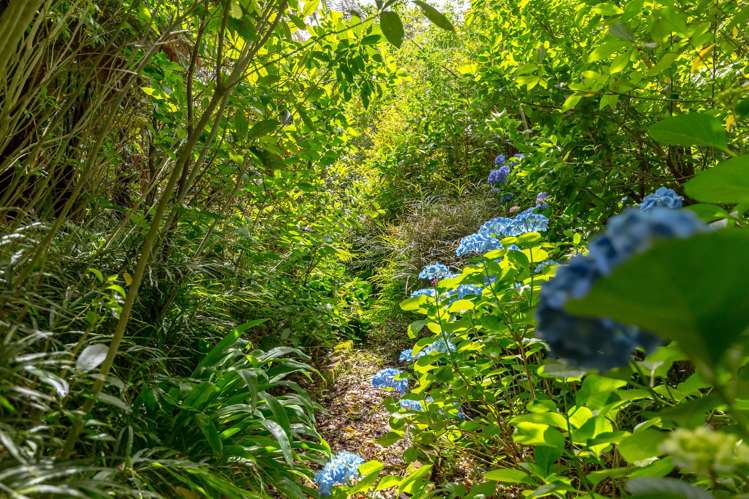 7 Homestead Lane Greytown_32