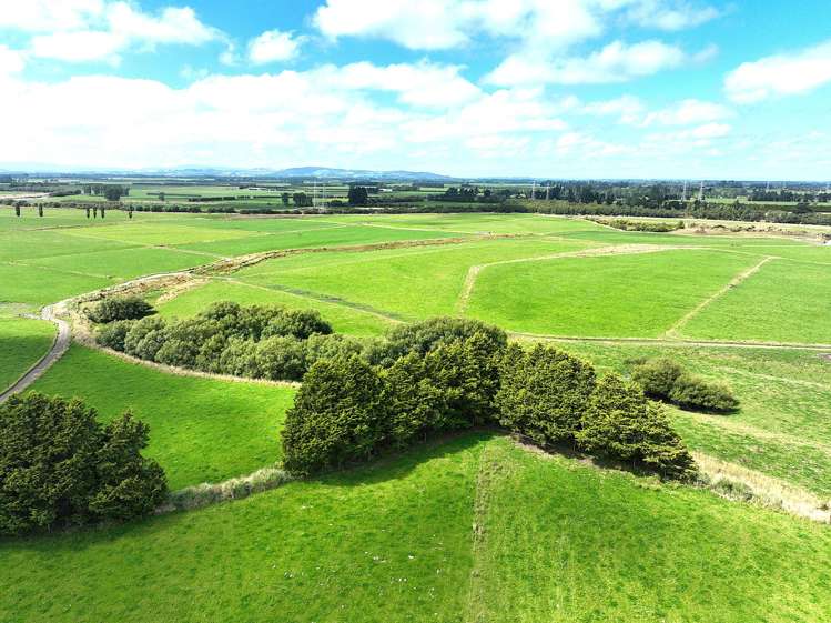 672 Oporo Flat Road Oporo_4