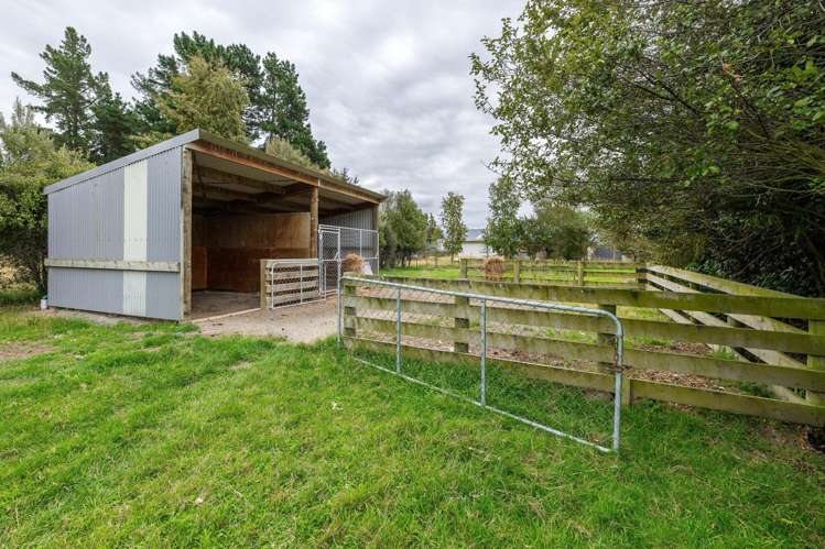 116 Molloys Road Waimate_18