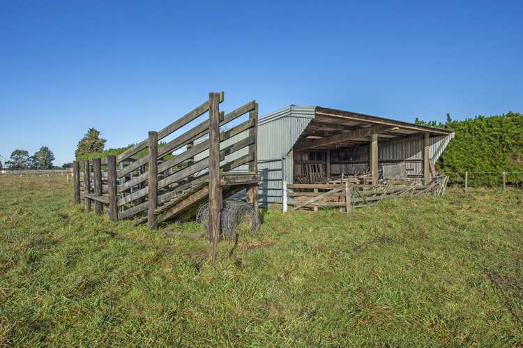 59 Trents Road Templeton_25