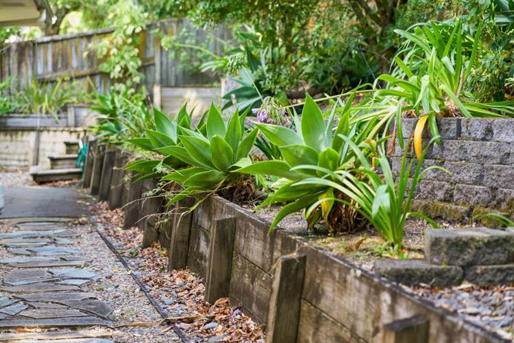 9 Northern Rata Place Albany_19