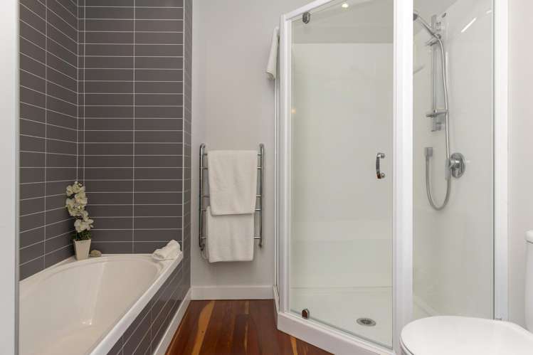 26 Kiwi Street Bird Area_19