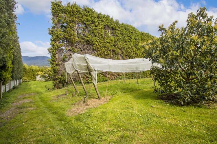 59 Pine Ridge Lane Aongatete_14